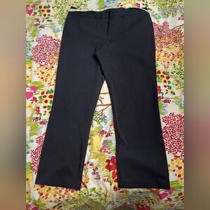 Ann Taylor Navy Blue Straight-Leg Dress Pants Size 16